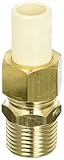 King Brothers Inc. TUM-0500-GD 1/2-Inch Male PXL CPVC X Low Lead Brass Transition Union, Tan [並行輸入品]