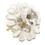 Lisbeth Dahl Clear Acrylic Crystal Knobs Set of 6 [並行輸入品]