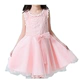Ruideng ガールズサマープリンセスドレスのスカートチュチュノースリーブワンピースのスカートのドレスチュチュの公演 (110cm, ピンク)