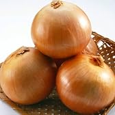 玉ねぎ 北海道 たまねぎ 5kg L 玉葱 タマネギ