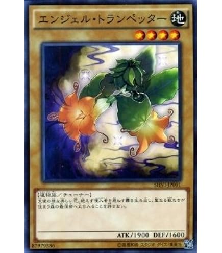 Amazon.co.jp: 遊戯王OCG クリスタルウィング・シンクロ