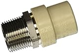 King Brothers Inc. TMS-1000 Male X Socket PXL CPVC X Stainless Steel Transition Adaptor, Tan, 1-Inch
