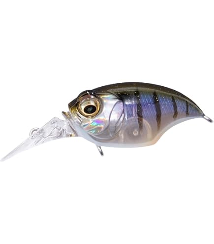 Amazon.co.jp: メガバス(Megabass) GRIFFON BAIT FINESSE SR-X GG バス