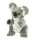 Folkmanis Baby Koala Hand Puppet [並行輸入品]