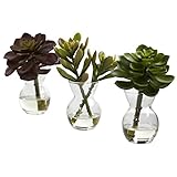 Nearly Natural 4954-S3 Succulent Arrangements, Green, Set of 3 [並行輸入品]
