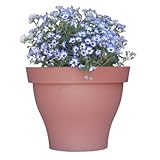 Austram-グリフィスクリークで702122 22を設計します。スタッドリープランターアズール