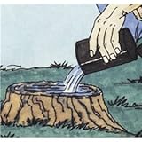 スタンプ・アウト2個組（切り株処理剤）【代引不可】 ds-1671802