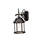 Alico Lighting 5184ST/SD Acclaim Lighting Stone Finished Outdoor Sconce with Clear Seeded Glass Shad