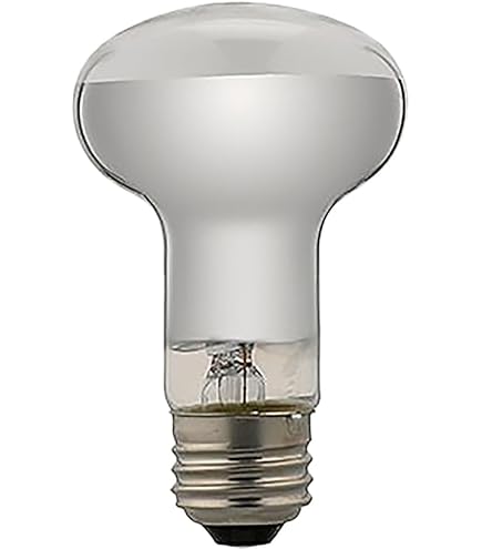 Panasonic 110V 300形 レフ電球　6個 71TE344yNZL._AC_UL210_SR210,