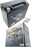 メガパワー バイク バッテリー MTX20L-BS メンテナンスフリー 密閉式 (MTX20L-BS)