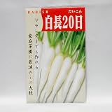 在来固定種　野菜の種「白長二十日大根」 5ml　畑懐〔はふう〕