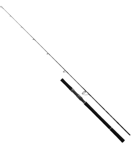 ジギングロッド　ダイワ VADEL J60MB-Y Amazon | ダイワ(DAIWA) ジギングロッド ヴァデル・Y J60MB・Y 釣り竿