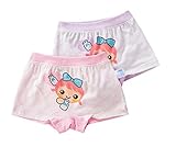 2PCS、女の子快適なパンティーキッズファッション下着[弓と女の子]