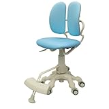 DUOREST(デュオレスト) DRシリーズ 学習チェア パステルブルー DR-289WG(SLB)