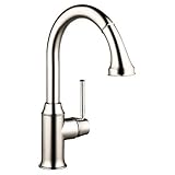 Hansgrohe 04215 Talis Cプルダウンキッチン蛇口with high-arc注ぎ口、磁気D、 04215830