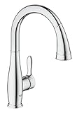 Parkfield Single-Handle Pull-Down Kitchen Faucet [並行輸入品]
