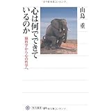 心は何でできているのか 脳科学から心の哲学へ (角川選書 498)