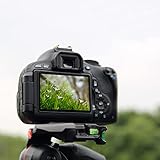 ペンタックスQ7Q10 Q-S1 KP K-P K-70 K70 K-S2 KS2K-1デジタルカメラ用強化ガラスLCDスクリーンプロテクター (Q-S1)