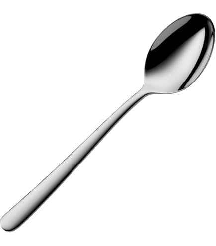 Amazon | WMF Taika 20-Piece Stainless Steel Flatware Set, Service