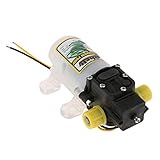 B Baosity 小型　ダイヤフラム　水圧ポンプ　58PSI　高圧　スプレーポンプ　30W 　DV12V　2L/min