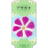 【1000枚】 AC 1型 アサガオ ASAGAO-020 ポリポット用 ラベル 名札 育苗 アンドウケミカル カ施 代不
