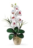 High Quality 1016-WH Phalaenopsis Silk Orchid Flower Arrangement, White