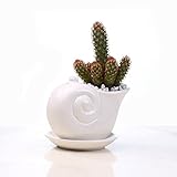 RaiFu 植木鉢　ホワイト　カタツムリ　鉢植え　植物　卓上　盆栽　ホーム　オフィス　バルコニー　装飾　デコレーション　インテリア トレイ付き