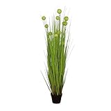 ハギハラ 人工観葉植物 『ボールグラス/月見草』 (L/153cm) #2093