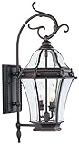 Livex Lighting 2621-07 Outdoor Wall Lantern with Clear Beveled Glass Shades, Bronze [並行輸入品]