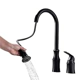 Tophome　キッチン用 蛇口 キッチン水栓 ハンドシャワー形 伸縮 ノズル ホース引出し 水 湯 切り替え 混合栓 シングルレバー　真鍮 (ブラック)