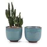 T4U 6.5CM 陶器ミ二植木鉢 高さ増加！ 氷裂紫砂シリーズ 多肉植物 サボテン鉢 フラワーポット プランター容器 ライトブルー 2個入り