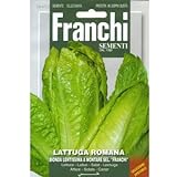 [ 西洋野菜 種 ] ロメインレタス ビオンダ レンタ モンターレ