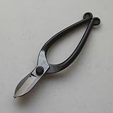 Okatsune Ikebana Scissors(7in), No.209 [並行輸入品]
