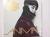 チョ・グォン(2AM) 1集 (韓国盤): I'm Da One / ANIMAL