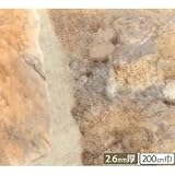 サンゲツ 店舗用クッションフロア サンドストーン 柄番CM-2247 サイズ 200cm巾×3m