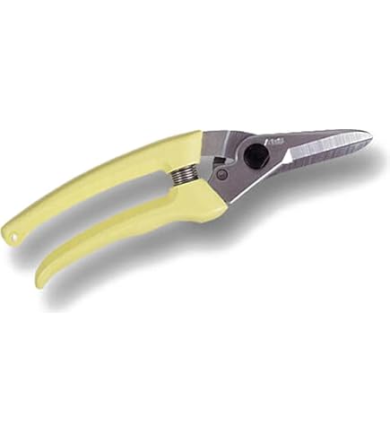 Amazon | アルス ファミリーデラックス ホワイト 140DX | 園芸用