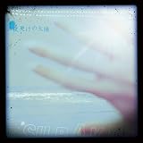 ��X���̑��z