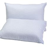 Huge枕で20 " x28 " inブルーandホワイトストライプのセット2