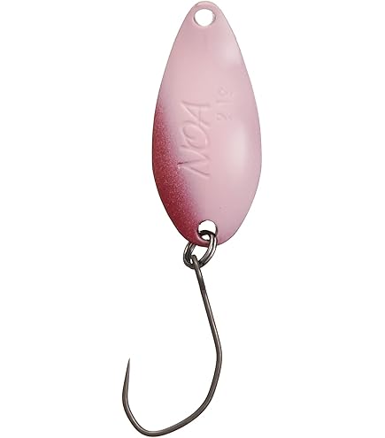 ロデオクラフト　ノアセット Amazon.co.jp: ロデオクラフト ノア-W 2.4g ＃942019早乙女