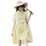 Lifestr(ライフスター)スカラップ　フリル　ギンガムチェック　Aライン　ワンピース　フレア　ゆったり　ぽっちゃり　マタニティ　シャツワンピ　ゆめかわいい　オルチャン　個性的　原宿系(オリジナルエ