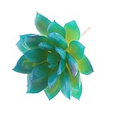 Homyl 人工観葉植物　プラスチックの多肉植物　シミュレーション植物　家の装飾　デコレーション　全５色選ぶ - 青