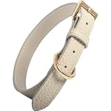 [RafiCaro] 首輪 犬 牛革 おしゃれ かわいい 小型 中型 軽い トイプードル チワワ ミニチュアダックス 柴犬 猫 Mサイズ アイボリー