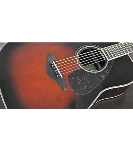 Amazon.co.jp: YAMAHA ヤマハ アコースティックギター FG830