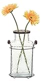 Creative Co-Op DE3875 Glass and Metal Vase 10.5-Inch [並行輸入品]