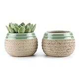 T4U 6.5CM 粘土 ミニ植木鉢 艶塗り ストライブ 楕円 多肉植物 サボテン鉢 フラワーポット プランター容器 クリーム色 2個入り