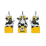 Team Sports America NFL ティキトーテムマスコット装飾 3OT3811MAS 1
