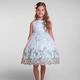 スウィートバタフライ シンプルなメッシュドレス 「SImple Sweet Butterfly Mesh Dress」2歳から12歳 (11-12 years, ミント)