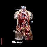 Wrsona