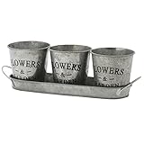 不二貿易 ガーデン フラワー  ブリキ ポット 3個セット シルバー 24087