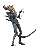 ネカ エイリアン 7インチ アクションフィギュア 『エイリアン2』バトルダメージ ブルー・ウォーリアー / NECA ALIENS BATTLE DAMAGED BLUE WARRIOR XENOMORPH [並行輸入品]